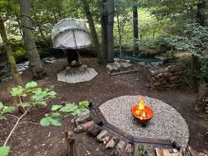 eine Feuerstelle mitten im Wald in der Unterkunft Bublina in Trutnov