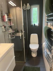 Koupelna v ubytování Mysigt rum i trevligt hus + 10 fotografií