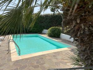 a swimming pool in a yard with a palm tree at Villa Camilla-Stintino, Sardegna in Sassari