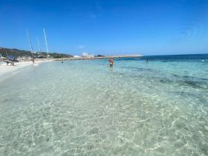 a person standing in the water at the beach at Fema House Solità in Budoni +4 photos