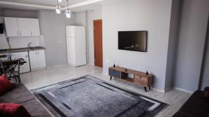 a living room with a couch and a tv on a wall at New Armila Suites in Trabzon