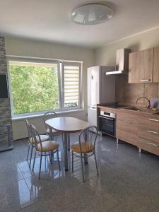 a kitchen with a table and chairs in a kitchen at Rent Olamit in Karkazai