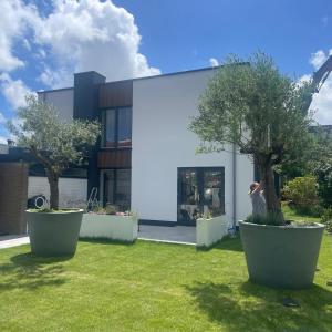 Κήπος έξω από το B&B Wad en Zee