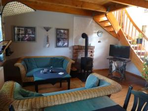 a living room with two couches and a fireplace at Haus Peenehagen in Groß Gievitz
