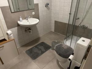 Vannituba majutusasutuses Wohnung in Sankt Englmar Nr 415