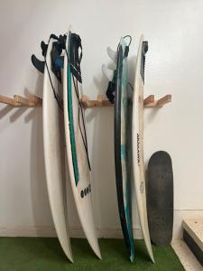 a row of surfboards hanging on a wall with a skateboard at cactus surf house in Tamraght Ouzdar