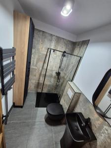 a bathroom with a shower and a toilet in a room at Design Loft in Reşiţa +12 photos