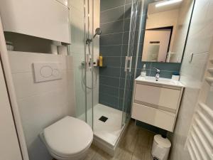 ein Badezimmer mit Dusche, Toilette und Waschbecken in der Unterkunft charmant studio plage et marché à pied in Pornichet + 3 Fotos