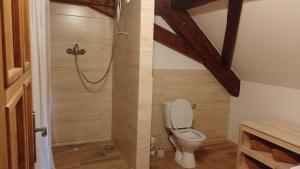 Koupelna v ubytování Ubytování Ždírec - Apartmán 2