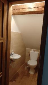 Koupelna v ubytování Ubytování Ždírec - Apartmán 2