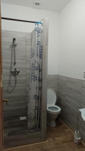 Koupelna v ubytování Ubytování Ždírec - Apartmán 2