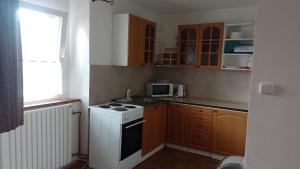 Kuchyň nebo kuchyňský kout v ubytování Ubytování Ždírec - Apartmán 2