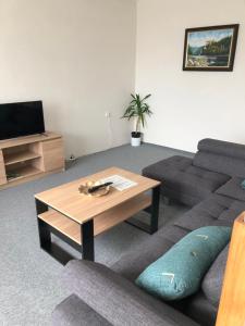 TV a/nebo společenská místnost v ubytování Apartmán Orlík nad Vltavou