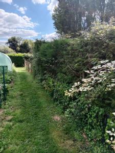 a field of flowers next to a fence at Chambres de charme en Normandie in Hauterive +7 photos