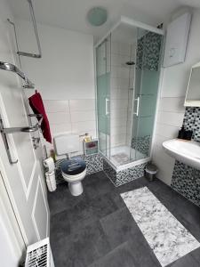 a bathroom with a shower and a toilet and a sink at Must love dogs in Koblenz