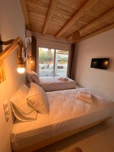 a bedroom with two beds and a window at Villa Iasmos in Pitsidia