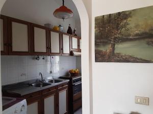 a kitchen with a sink and a painting on the wall at Stella Marina in Tertenìa