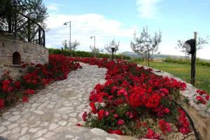 A garden outside Agriturismo Colle Mura