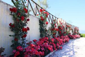 A garden outside Agriturismo Colle Mura