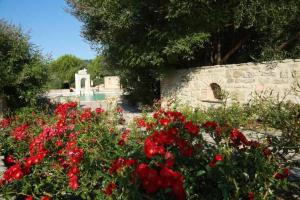 A garden outside Agriturismo Colle Mura
