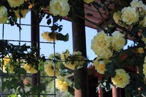 A garden outside Agriturismo Colle Mura