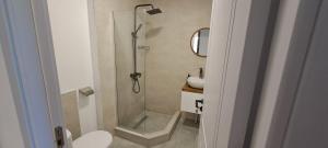 un bagno con doccia, WC e lavandino di King's Neighbours a Telavi