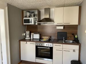 ワイマールにあるFerienapartment Weimar Altstadt 2の小さなキッチン(コンロ、シンク付)