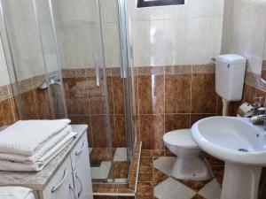 a bathroom with a shower and a toilet and a sink at Bosko in Kotor +17 photos