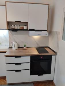 Η κουζίνα ή μικρή κουζίνα στο DiV Apartman Jagodina