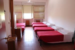 a row of beds lined up in a room at Ostello Paradiso EuroCamp in Cesenatico +2 photos