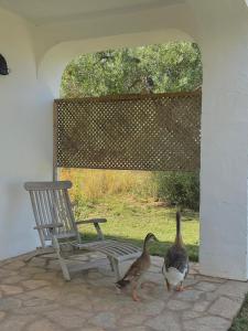 Gambar di galeri bagi bungalow entre mer et montagne di Arcos de la Frontera