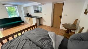 Kuchyň nebo kuchyňský kout v ubytování Orličky Apartments