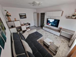a living room with a couch and a tv at All In Jacuzzi Apartment in Petroşani