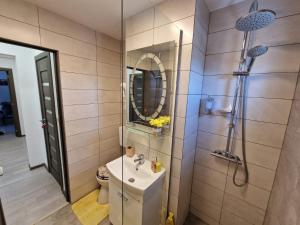 a bathroom with a sink and a shower at All In Jacuzzi Apartment in Petroşani +19 photos