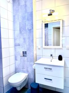 ザトルにあるFrojaのトイレ、洗面台、鏡のあるバスルーム +9枚の写真