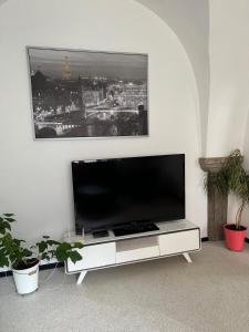 TV a/nebo společenská místnost v ubytování Apartman I Ubytovani v centru Jihlavy