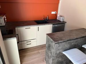 a small kitchen with a sink and a counter at Élégance Paloise in Pau