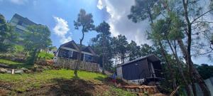 Zahrada ubytování Hills Abode Shillong