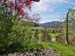 a view of a garden with trees and grass at Ferienhaus Buchen in Schwarzenberg +7 photos