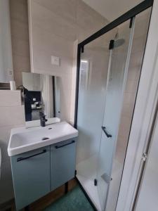 ル・アーヴルにあるweek-end Au Havreの白い洗面台とシャワー付きのバスルーム