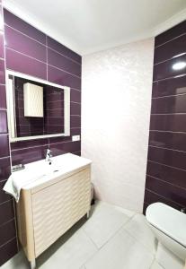 un bagno con lavandino, specchio e WC di Apartamento Lola2 a Nerja