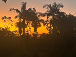 een groep palmbomen voor de zonsondergang bij Pousada Vale do Sol in Pariqueraçu