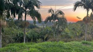 een uitzicht op een jungle met palmbomen bij zonsondergang bij Pousada Vale do Sol in Pariqueraçu