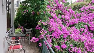 Um jardim no exterior de Guesthouse Mixe