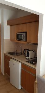 Kuchyň nebo kuchyňský kout v ubytování Alpe-Adria Apartments Chanel top12