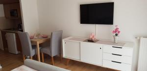 TV a/nebo společenská místnost v ubytování Alpe-Adria Apartments Chanel top12