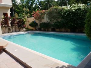 a swimming pool in a yard with plants at LIL Ville Glamping by TLT in Dumaguete