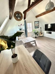 TV a/nebo společenská místnost v ubytování L Écuyer appartement au cœur du quartier historique + 17 fotografií