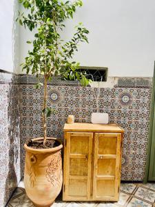 a plant in a large pot next to a wooden cabinet at Riad Yu Yu in Marrakech