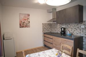 a kitchen with a sink and a counter top at Apartments Field Flower in Radovljica +16 photos